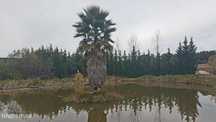 Terreno com ruína e Lago