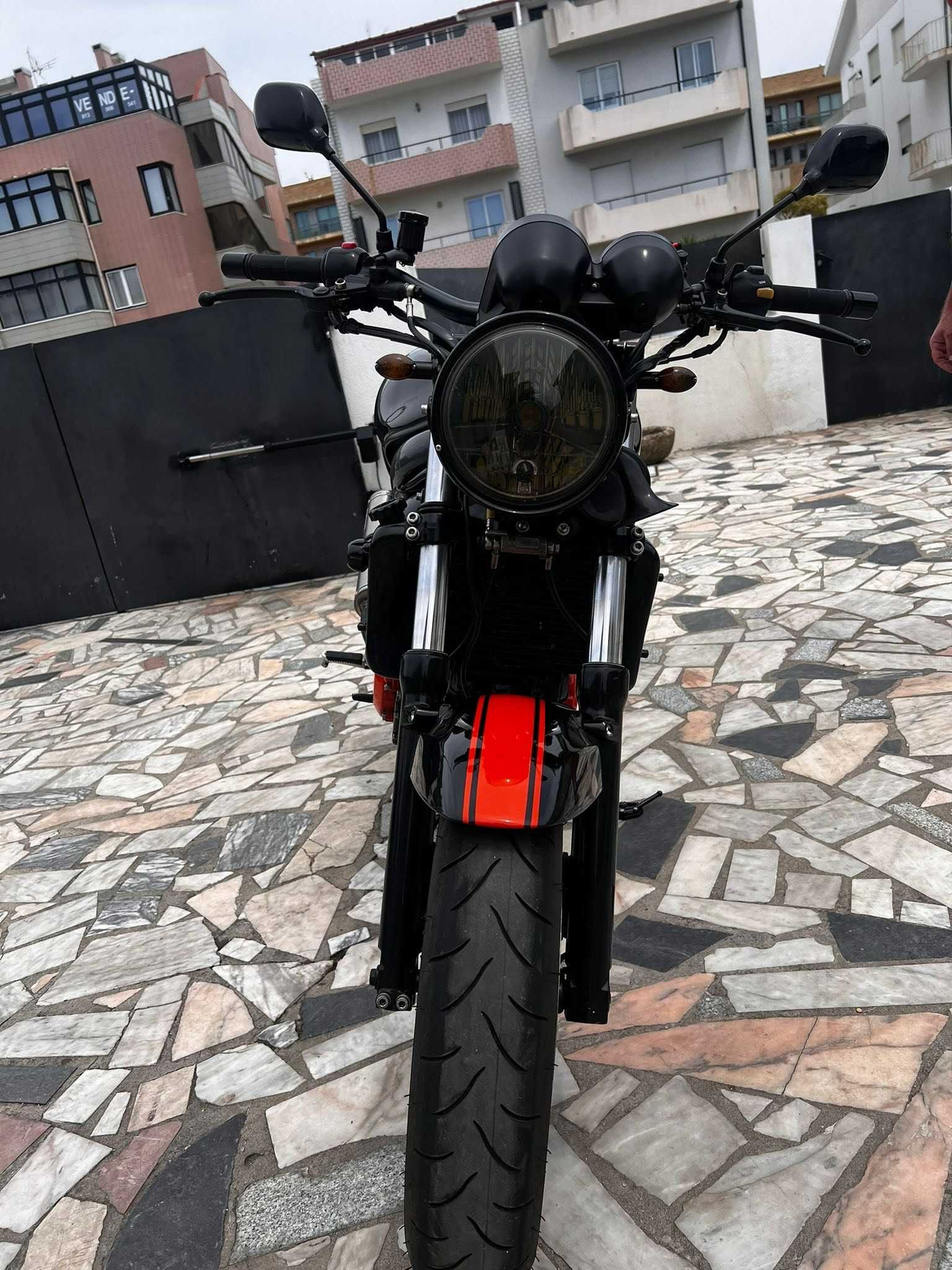 SUZUKI SV605 de estimação