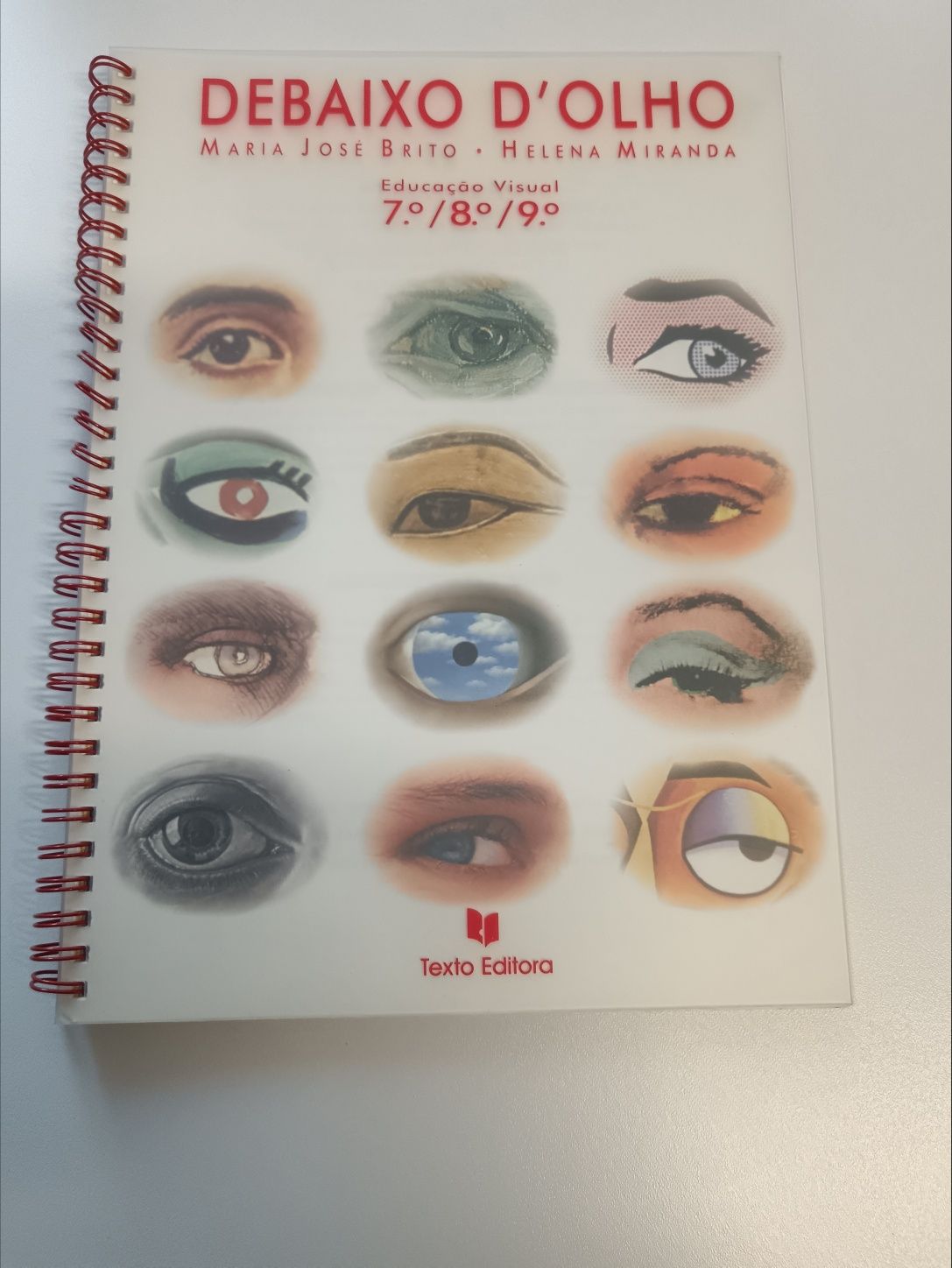 Educação  visual