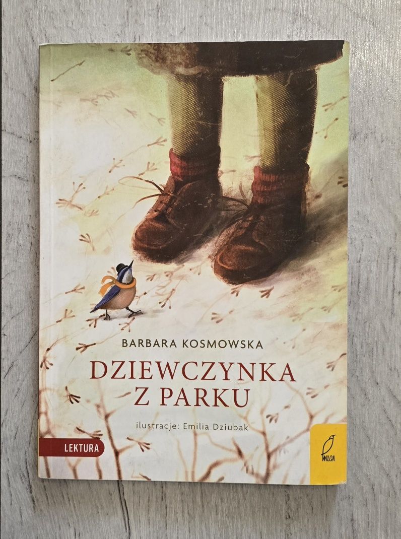 Dziewczynka z parku Lektura Barbara Kosmowska Wydawnictwo Wilga