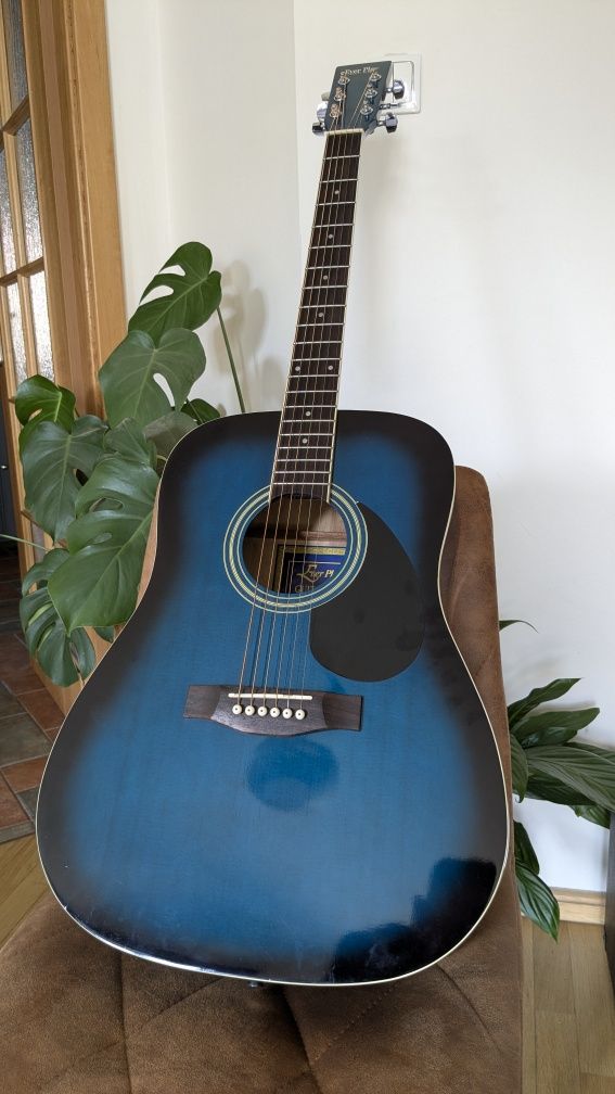 Gitara akustyczna EVER PLAY AP-315