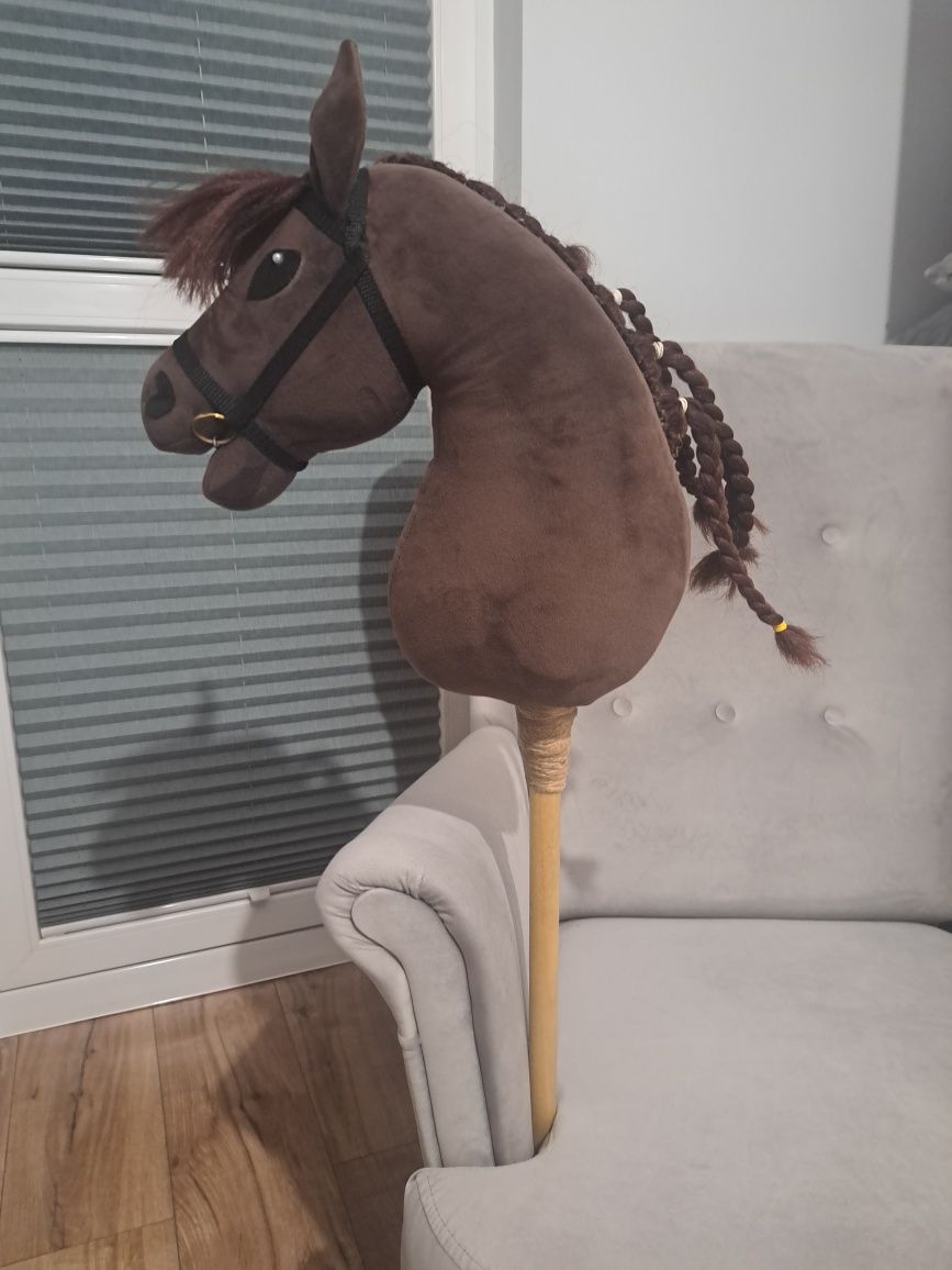 Hobby horse i sprzęt