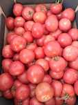 Swojskie pomidory malinowe 6zl/kg