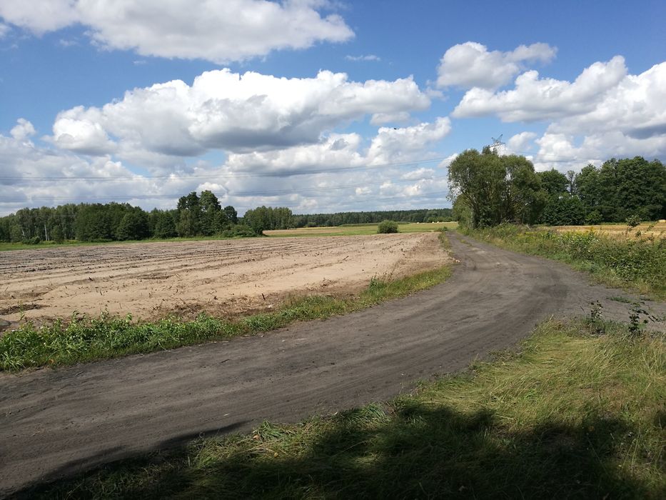 Działka rolna, 1,36 hektara Wólka Wybraniecka