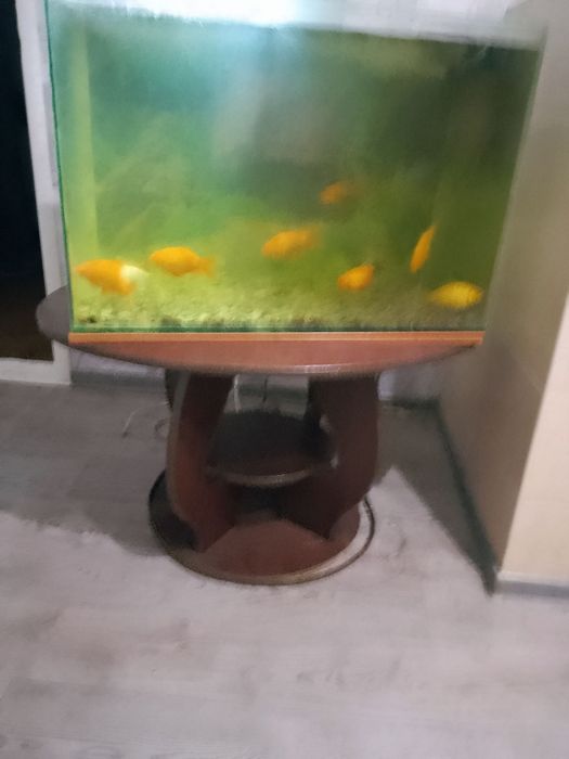 Аквариум ёмкость около 200