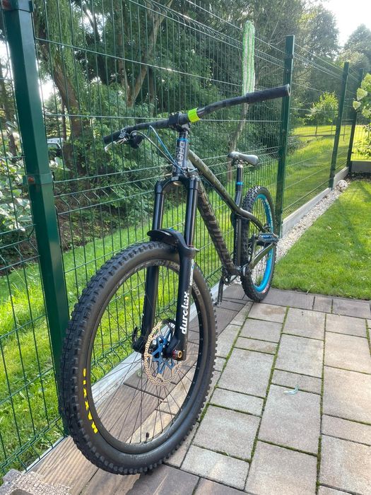 Dartmoor Hornet, 2019