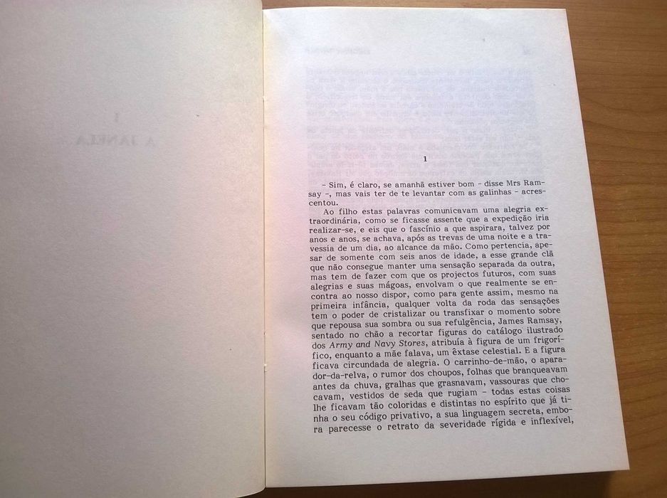 Rumo ao Farol - Virginia Woolf