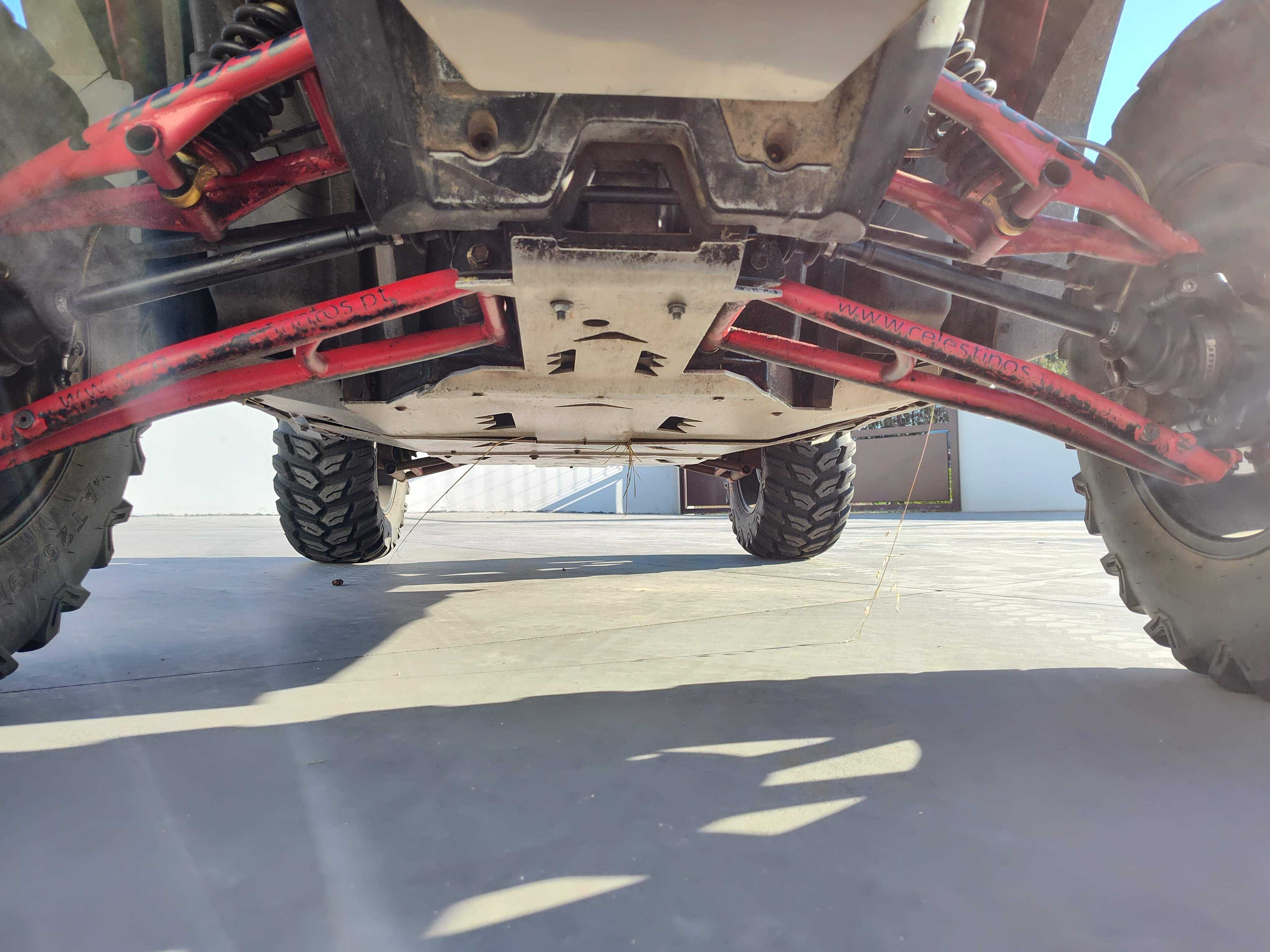 Buggy Polaris RZR 800