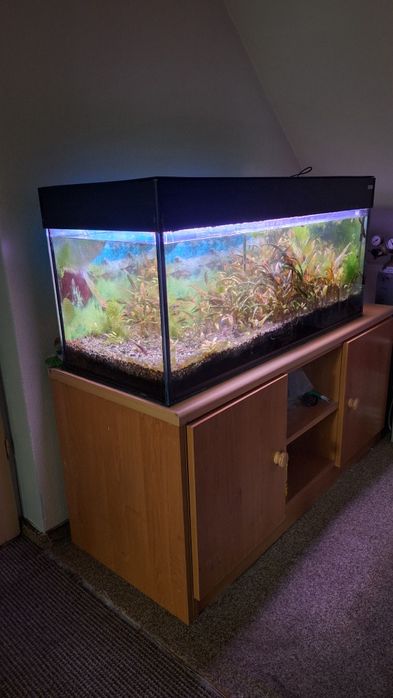 Akwarium 160 litrów, zestaw +komoda