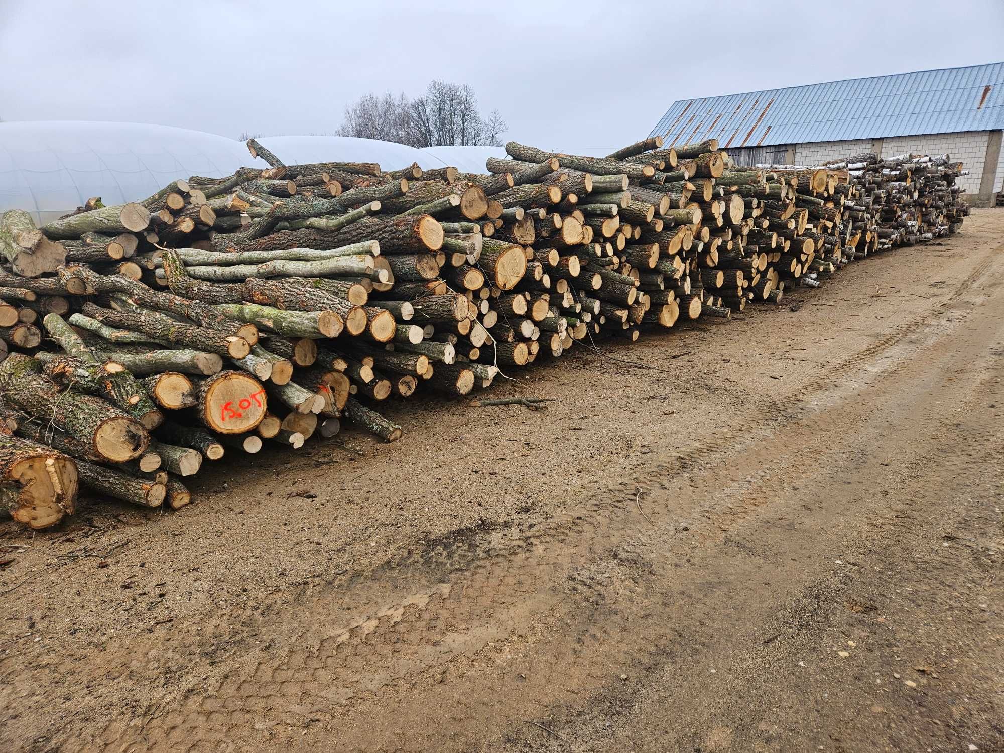 DREWNO opałowe SEZONOWANE kominkowe z transportem