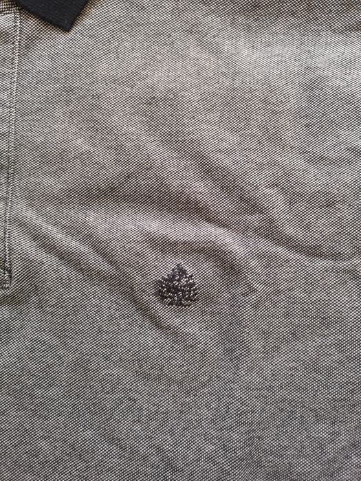 Polo Springfield