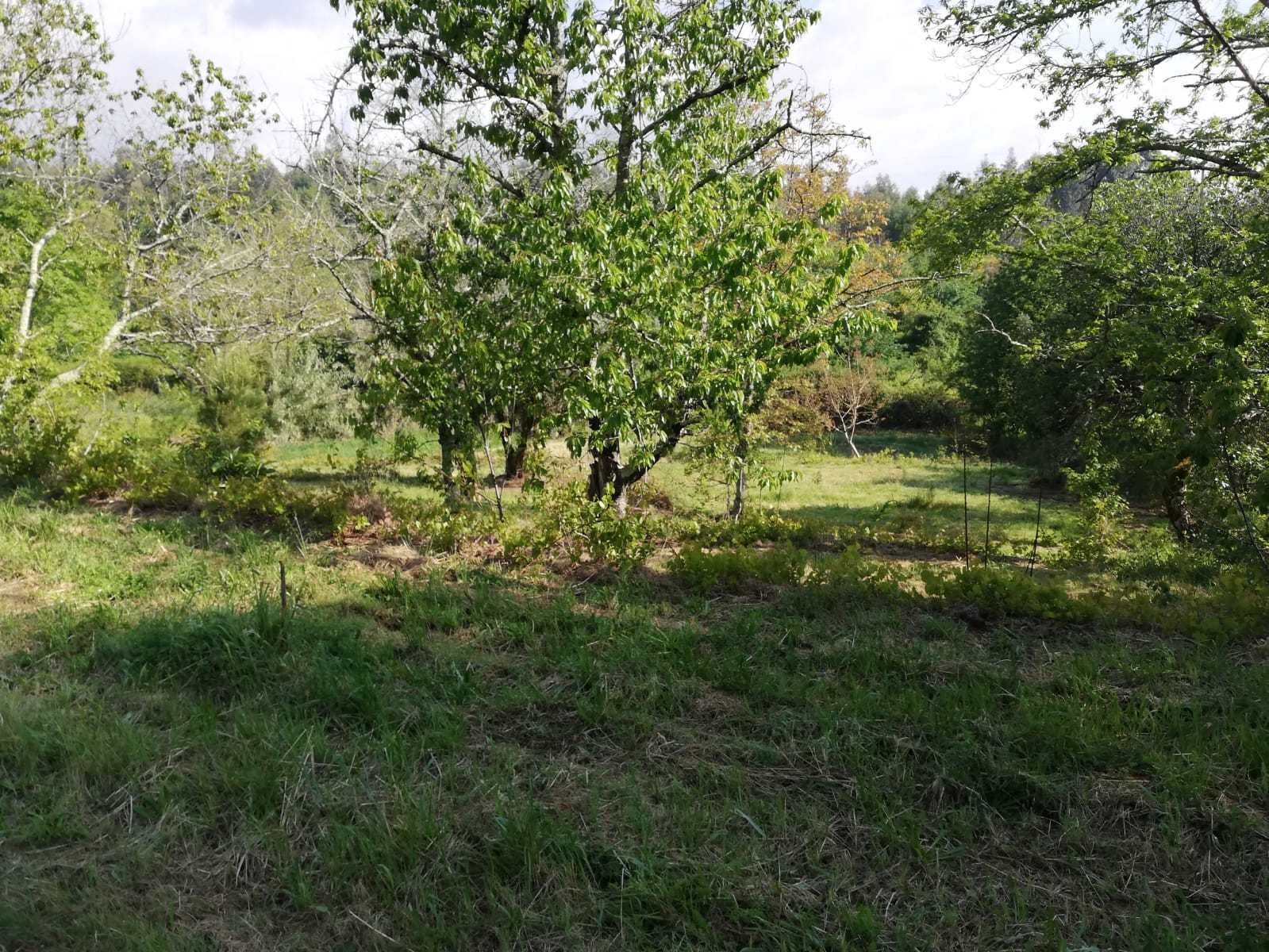 Venda de Terreno em Vila Nova da Rainha, Tondela