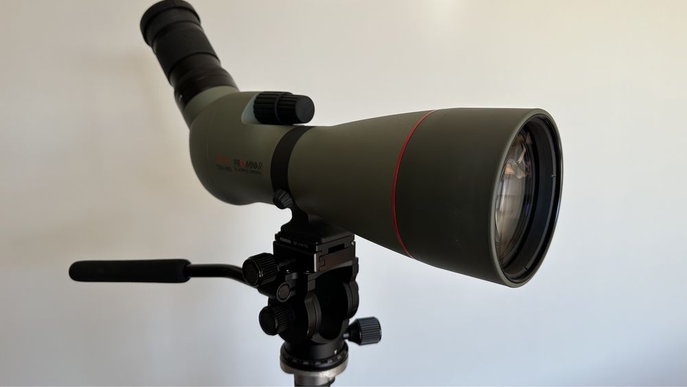 Kowa luneta Telescópio TSN - 883 + TE - 11 WZ - Birdwatching