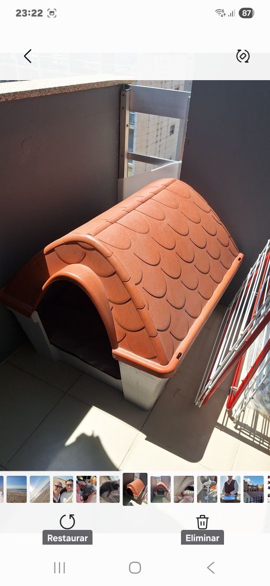 Casota para cão.