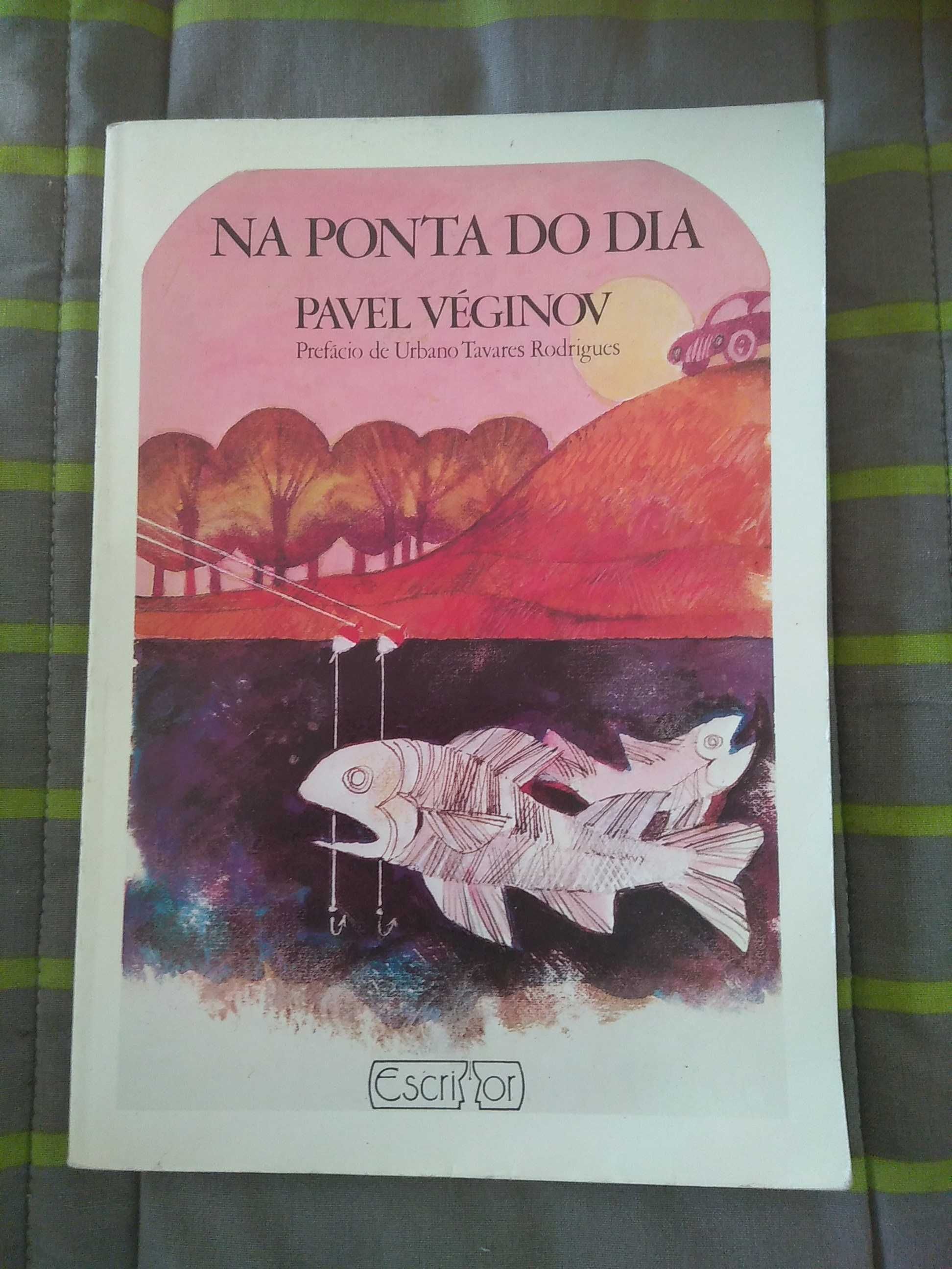 Pavel Véginov - Na ponta do dia