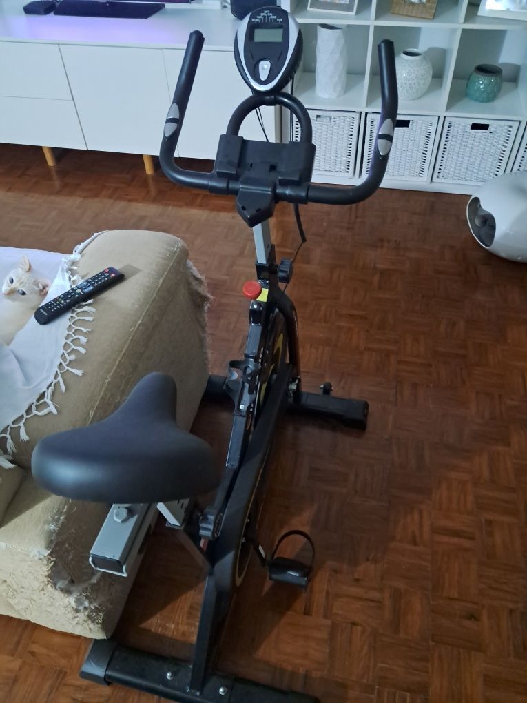 Bicicleta Estática Insania – como nova!