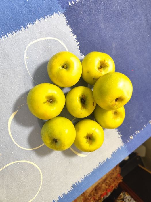 Мелкое Яблоки семеренка яблука