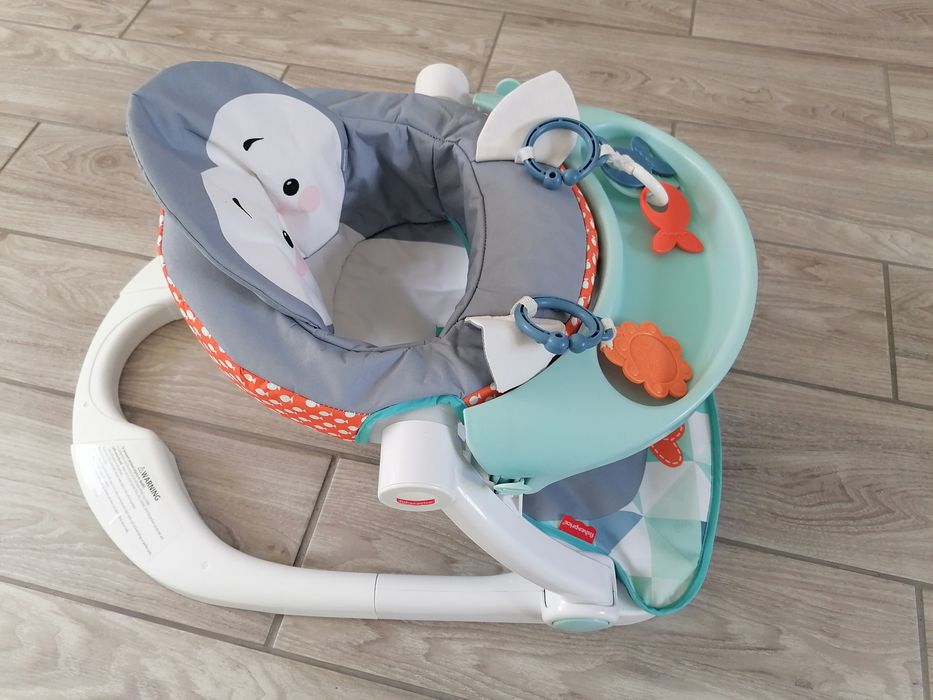 Cadeira de piso Fisher price
