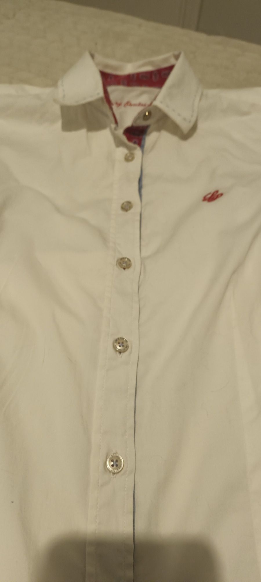 Camisa lion of Porches