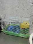 Gaiola de hamster