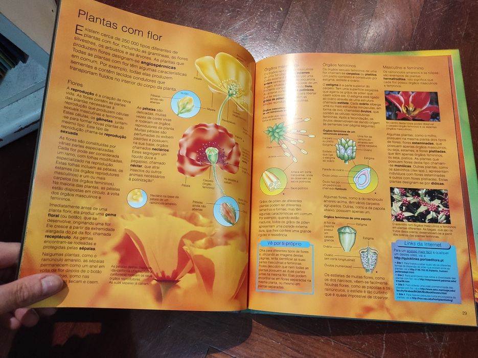 O mundo das plantas - enciclopédia da ciência