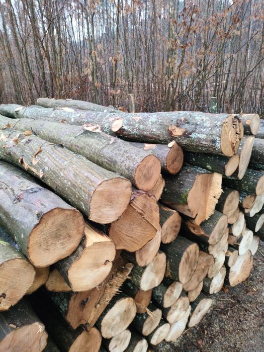 Drewno opałowe liściaste i iglaste