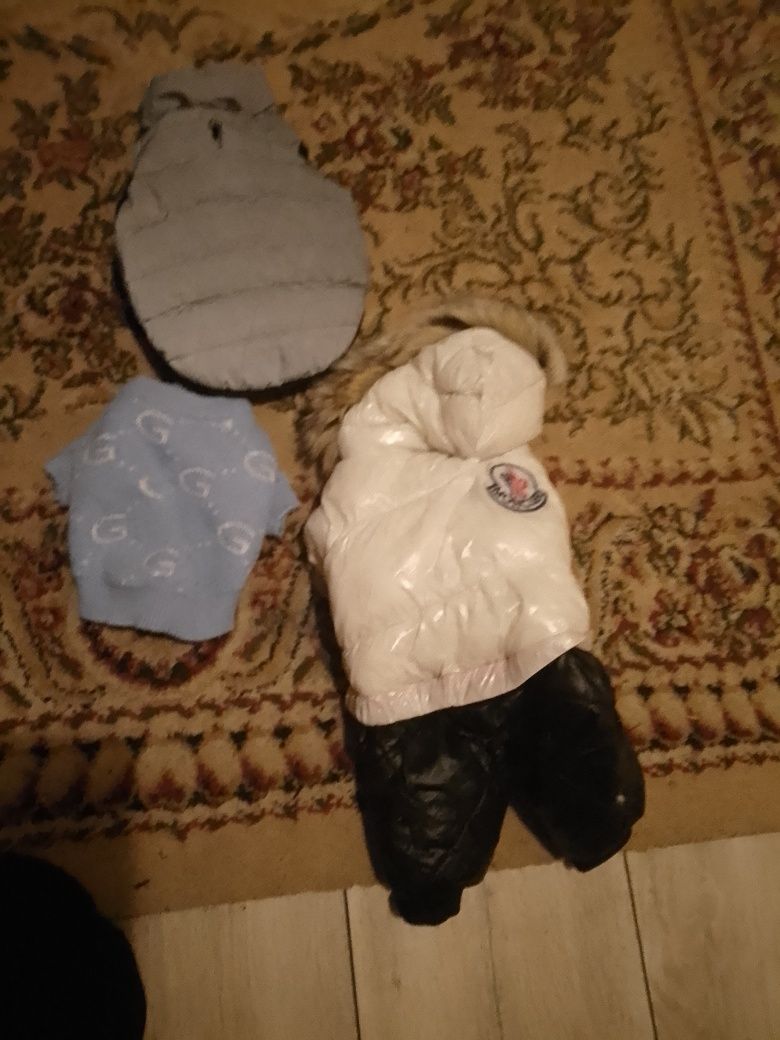 Продам одяг для тварин,лежаки