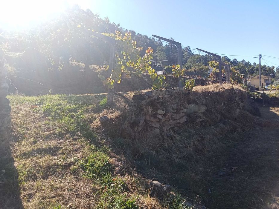 Terreno para cultivo/ outros
