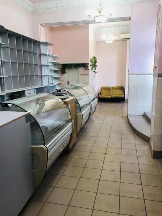 Потужне захищене підвальне приміщення (110 м²) ; вентиляція; санвузол;