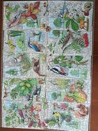 Puzzle Ravensburger 1000 elementów. Stan idealny.