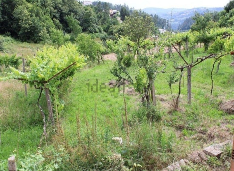 Pequena quinta com 2900m2