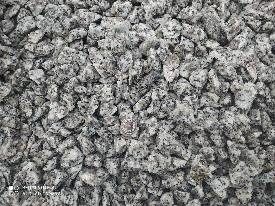 GRYS granitowy DALMATYŃCZYK kamień ozdobny promocja 350 zł !!!