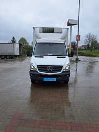 Mercedes-Benz Sprinter 519 kontener 8-palet chłodni/Mroźnia