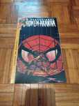 O Sensacional Homem-Aranha Vol. 19 - Coisas do Destino