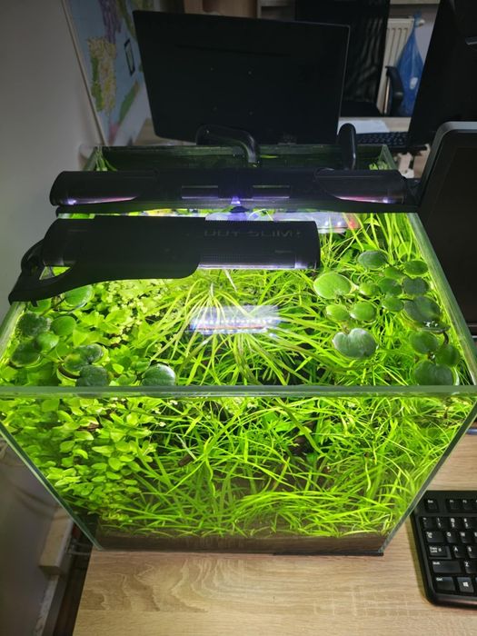 Zestaw optiwhite 40x40x40 z pełnym wyposażeniem, markowe sprzęty.