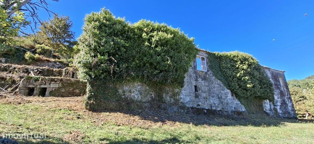 Quinta/Herdade em Tarouquela, Cinfães