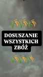 Dosuszanie/ suszenie zbóż