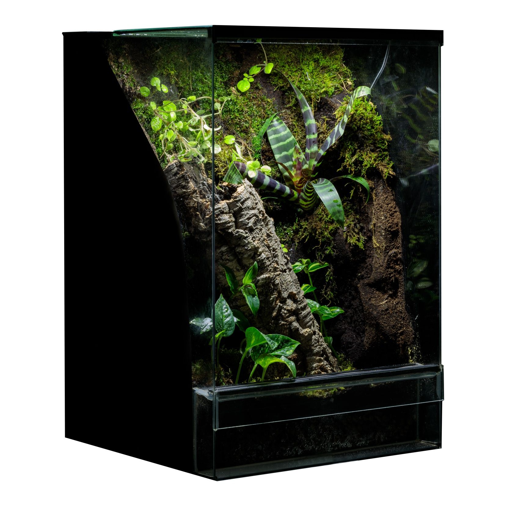 Terrarium 40x40x60