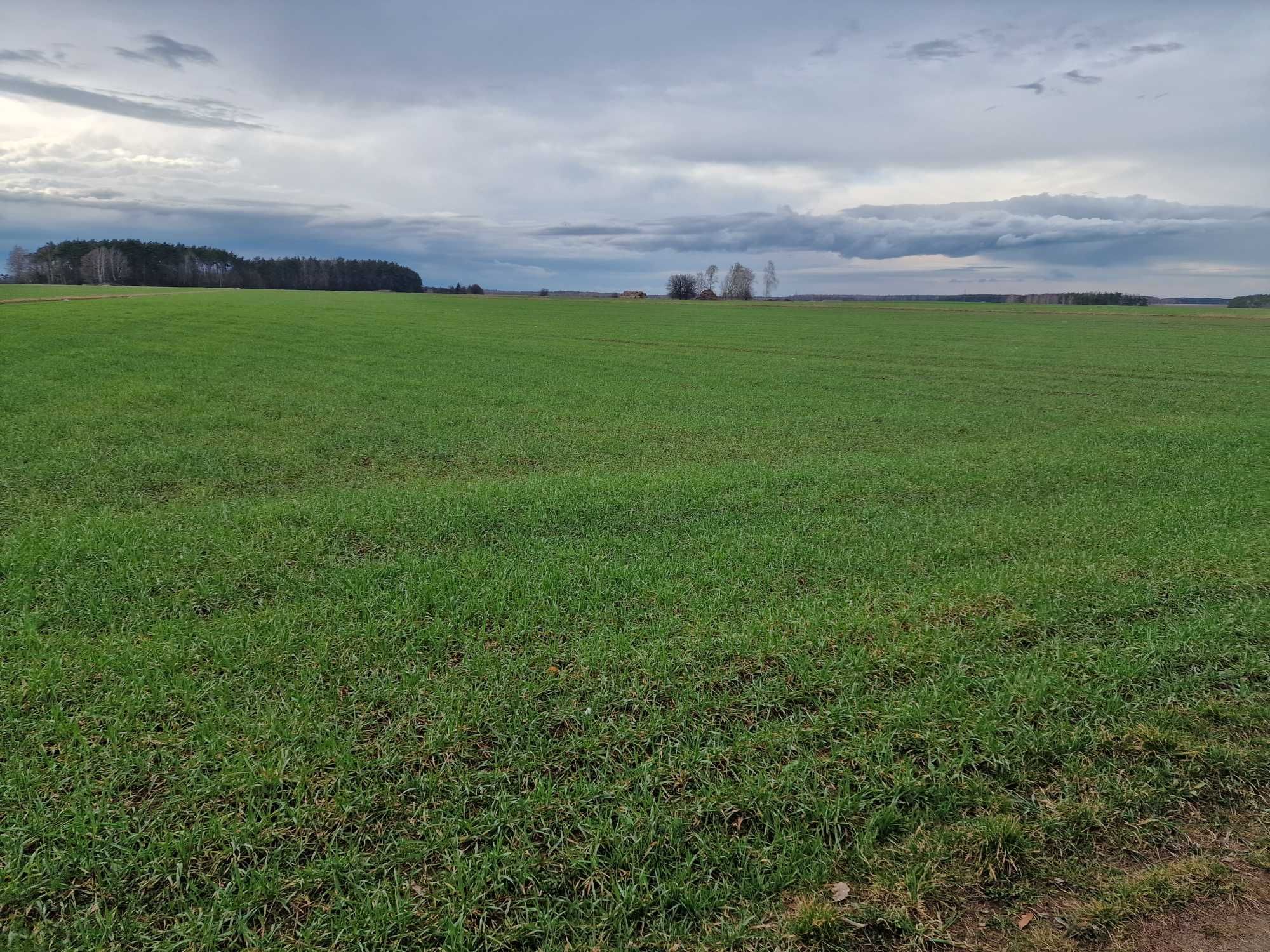 działka rolna ziemia rolna grunty orne blisko warszawy