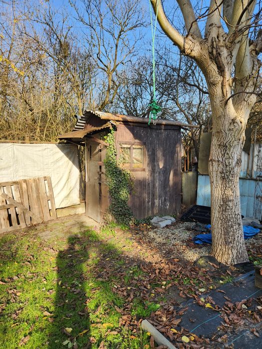 Oddam domek narzędziowy drewniany w zamian za usunięcie