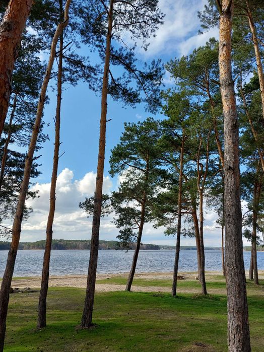 Leśne Domki nad Jeziorem Chańcza - WOLNE TERMINY LISTOPAD 2025