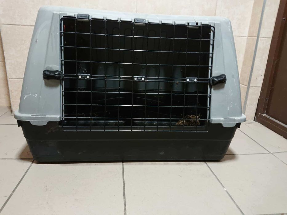 Klatka   Bergamo transporter Pies Kot inne zwierzaki