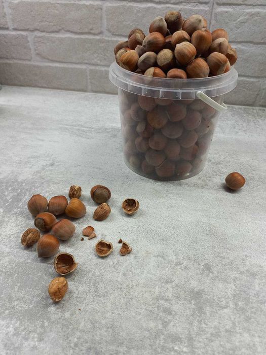 Продам орехи фундук не очищенный.