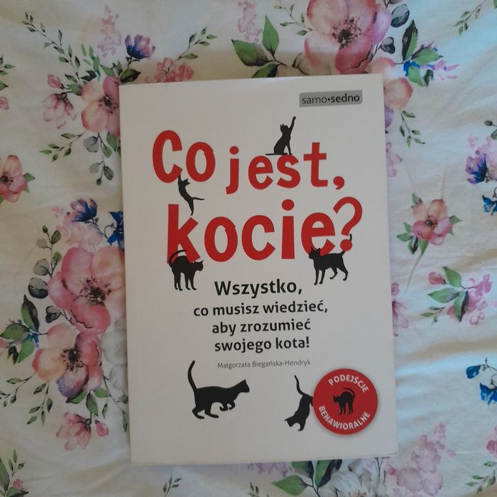 Co jest kocie? Małgorzata Biegańska Hendryk