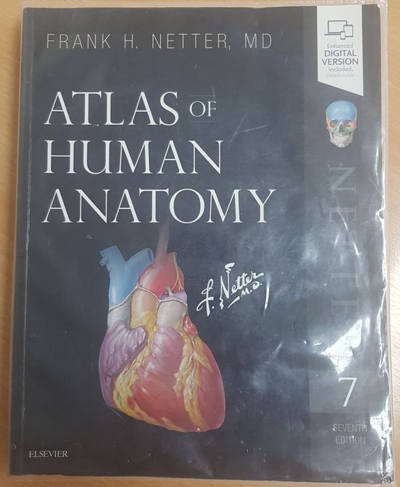 Atlas Human Of Anatomy, Netter 7° Edition