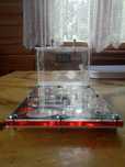 Terrarium dla mrówek