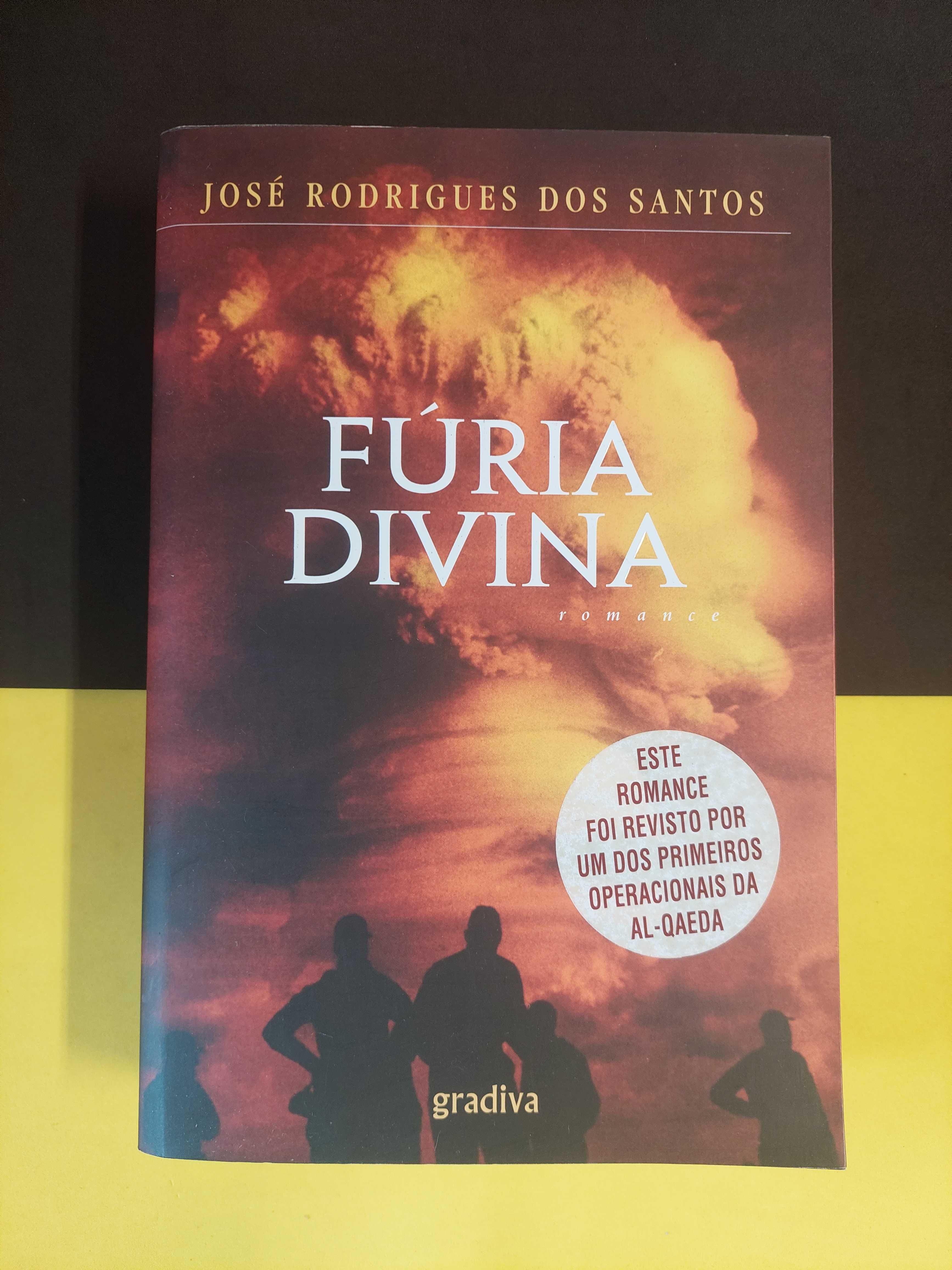 José Rodrigues dos Santos - Fúria divina