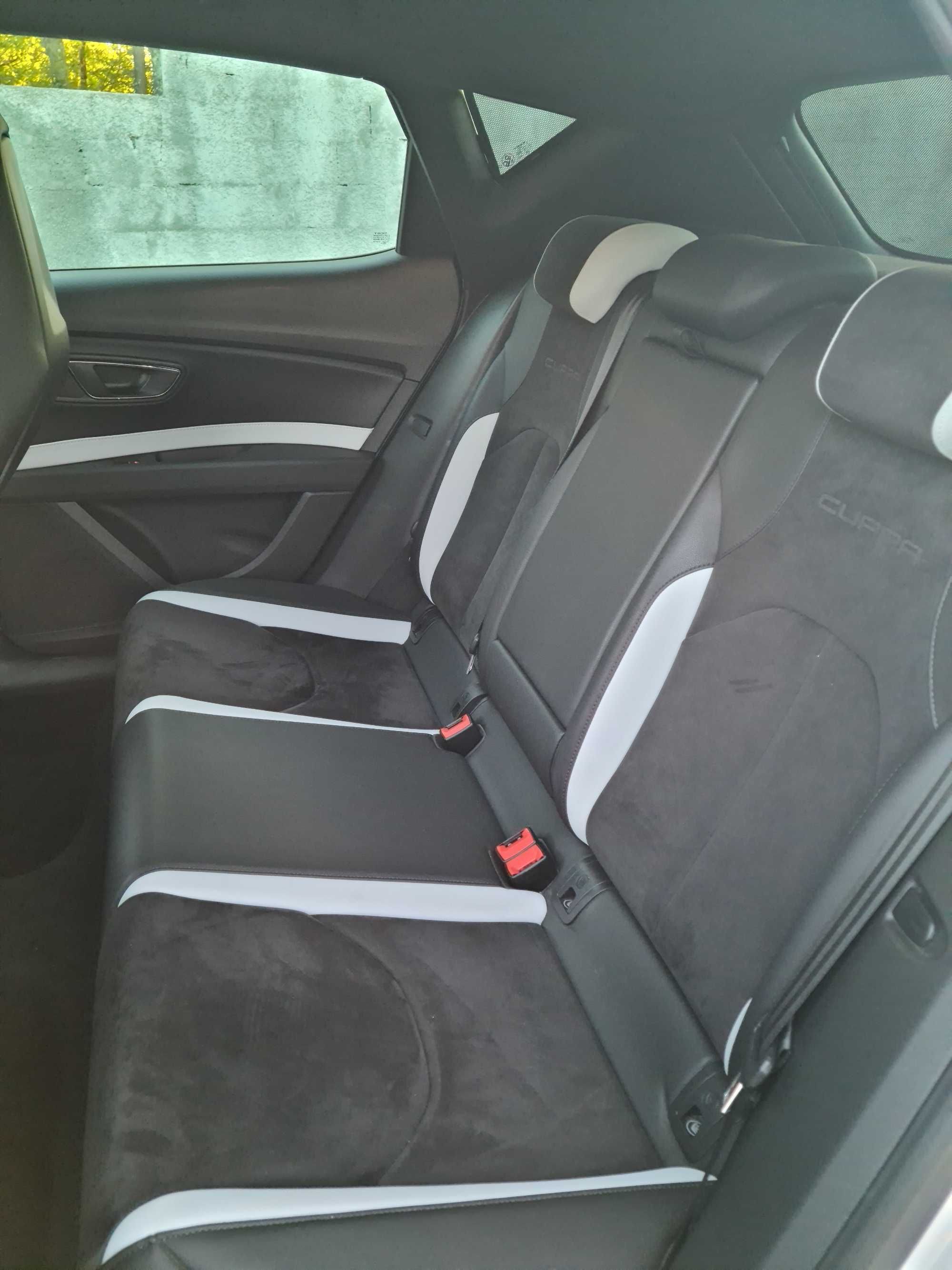 Seat Leon Cupra 290