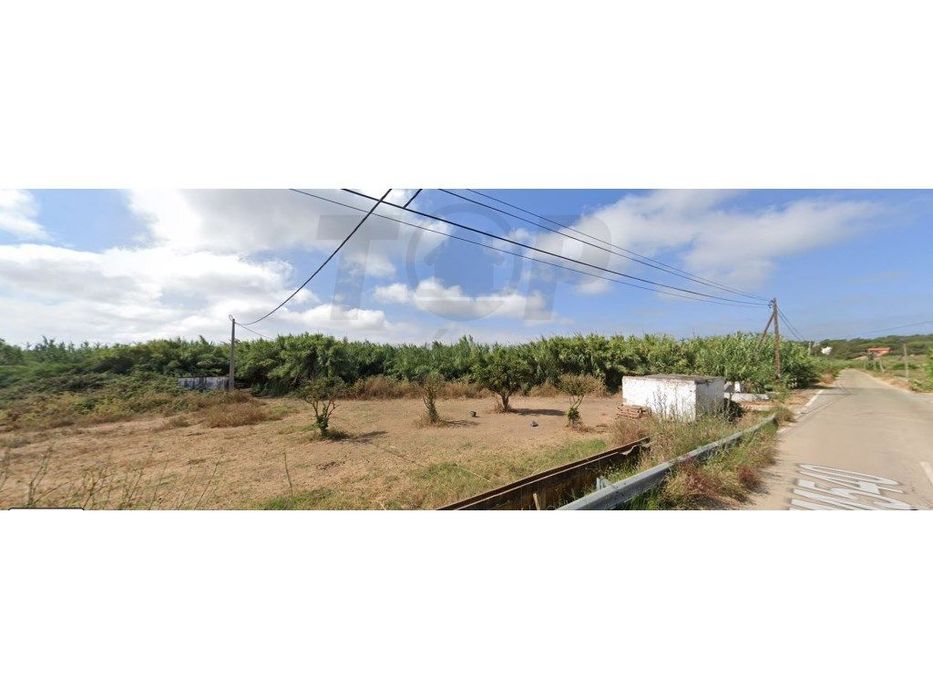 TERRENO RÚSTICO - 1800m2 - Almancil -74.000€