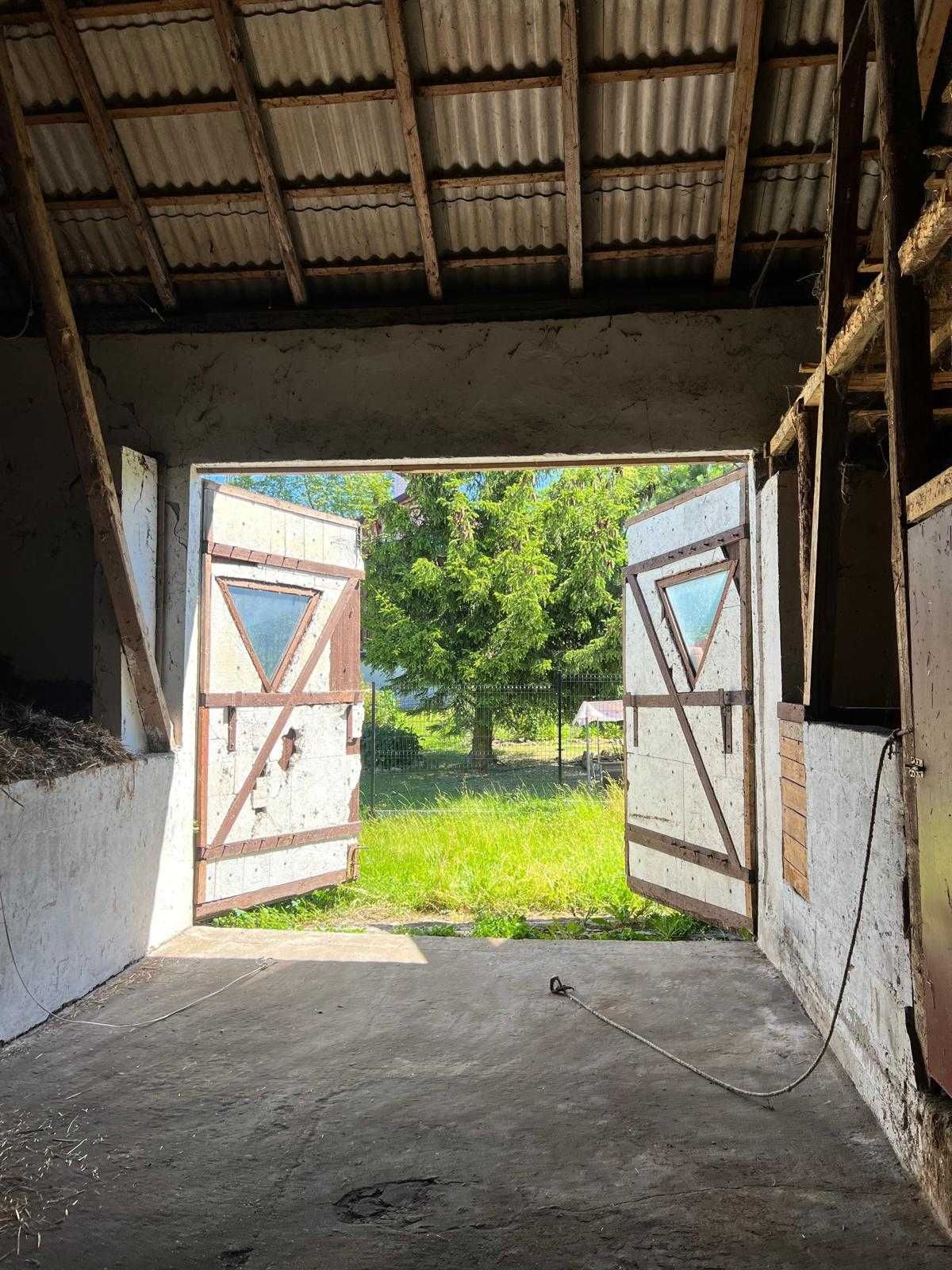 Dzierżawa stajni, wynajem, hodowla koni